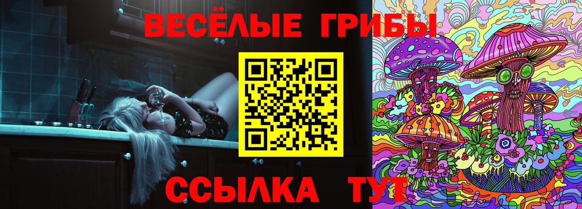 Саки  Галлюциногенные грибы MAGIC MUSHROOMS  Вход с VPN 